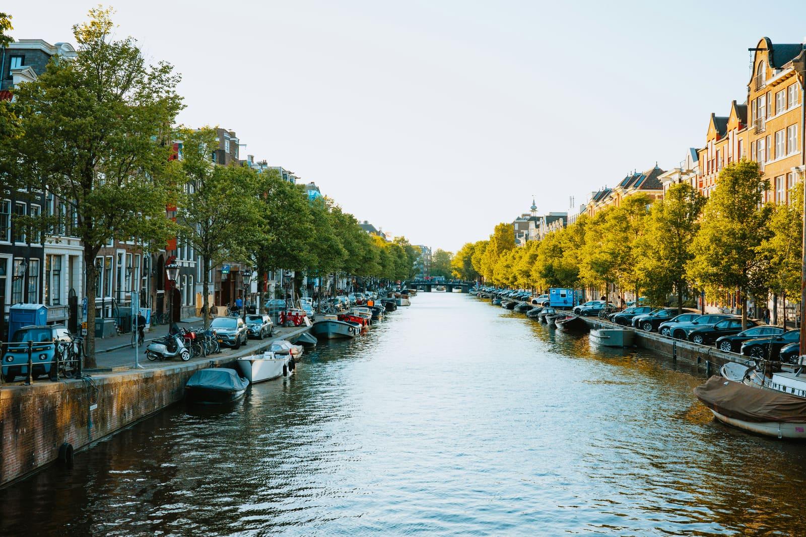 A tree-lined Amsterdam canal with parked cars, bicycles, and boats along both banks in late-day sunlight.